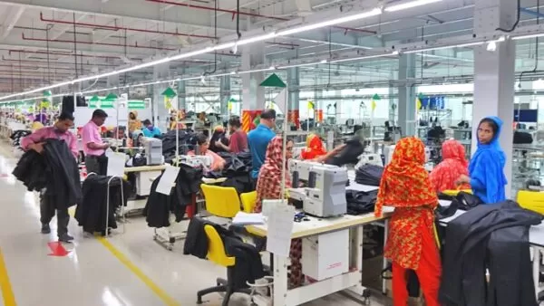 Double Fixed Tube Light Shade